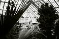 Palm House, Kew Gardens, London 12330013